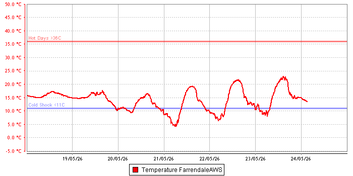Temperature graph