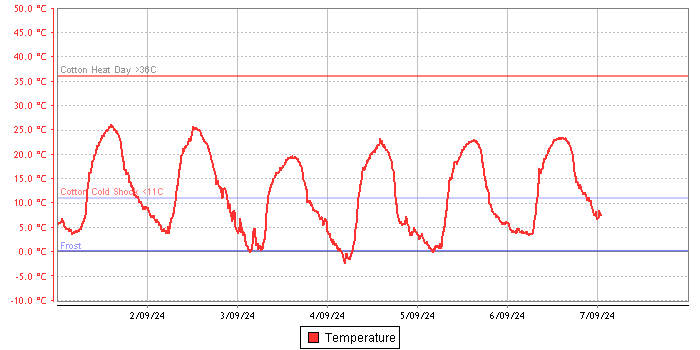 Temperature graph